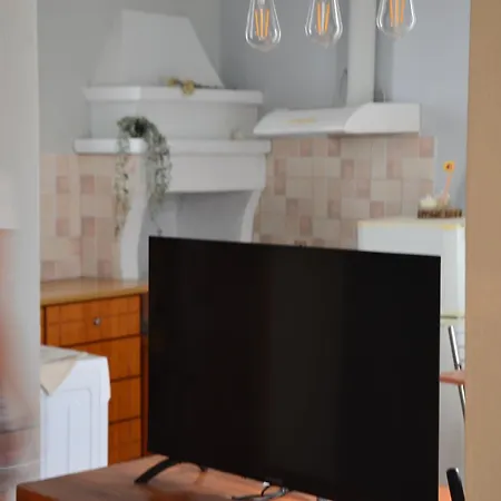 Coralia Nest *