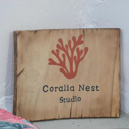 Coralia Nest
